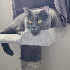 Meet your Posher, Nat